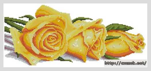 Завантажити схеми вишивки нитками / хрестом  - Розы в росе (желтые)