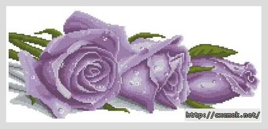 Скачать схему вышивки нитками Розы в росе (фиолетовые)