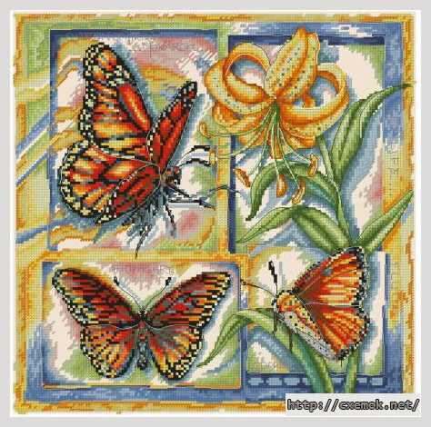 Download embroidery patterns by cross-stitch  - Серия — насекомые (бабочки)