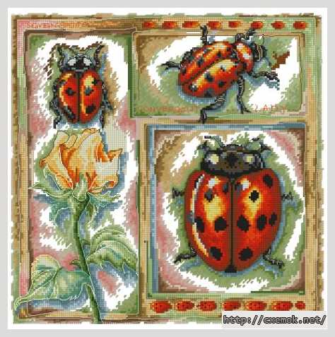Download embroidery patterns by cross-stitch  - Серия — насекомые (божья коровка)