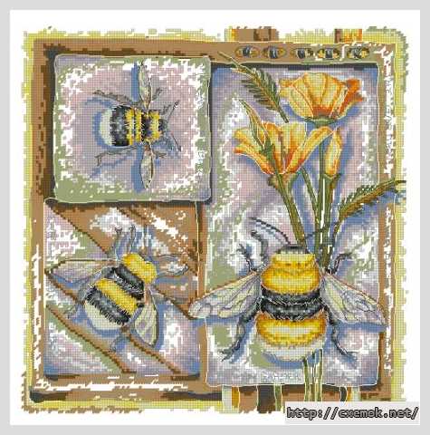 Download embroidery patterns by cross-stitch  - Серия — насекомые (пчелка)