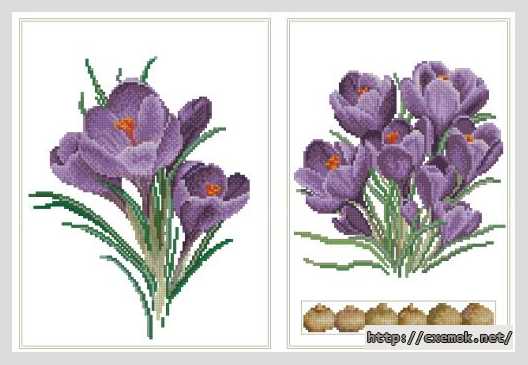 Download embroidery patterns by cross-stitch  - Крокусы