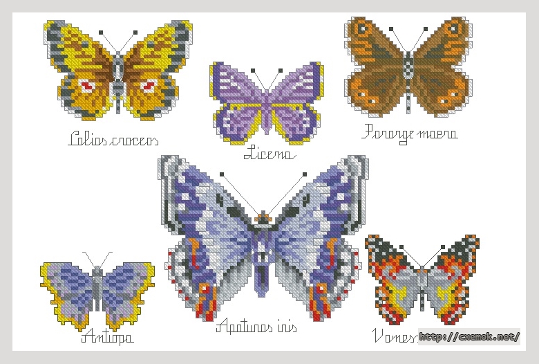 Скачать схемы вышивки нитками / крестом  - Панель с бабочками, автор 