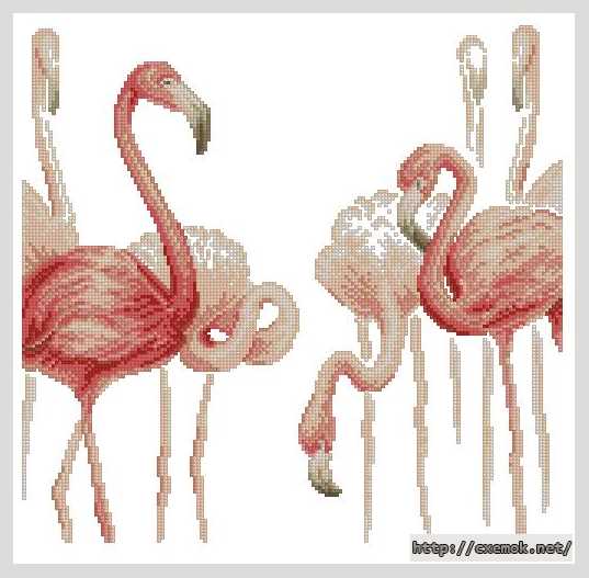 Скачать схемы вышивки нитками / крестом  - Фламинго