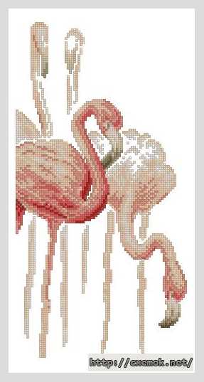 Download embroidery patterns by cross-stitch  - Фламинго