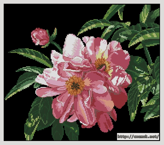 Download embroidery patterns by cross-stitch  - Precious peones, author 