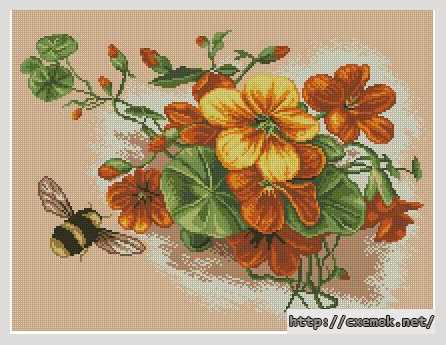 Download embroidery patterns by cross-stitch  - Настурция и шмель