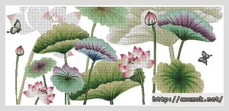 Download embroidery patterns by cross-stitch  - Лотосы