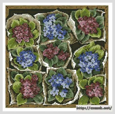 Download embroidery patterns by cross-stitch  - Комнатные растения