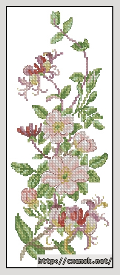 Download embroidery patterns by cross-stitch  - Summer flowers, author 