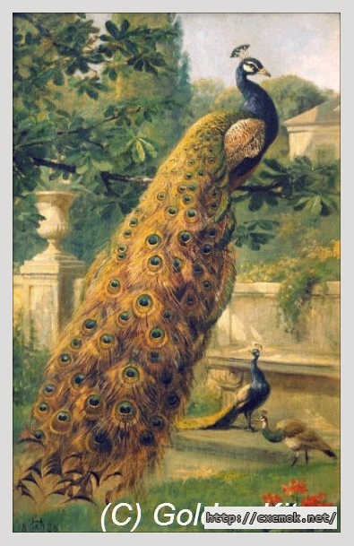 Скачать схему вышивки нитками Peacocks in the Park, автор 