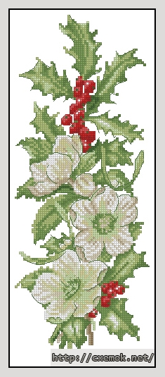 Скачать схемы вышивки нитками / крестом  - Winter flowers, автор 
