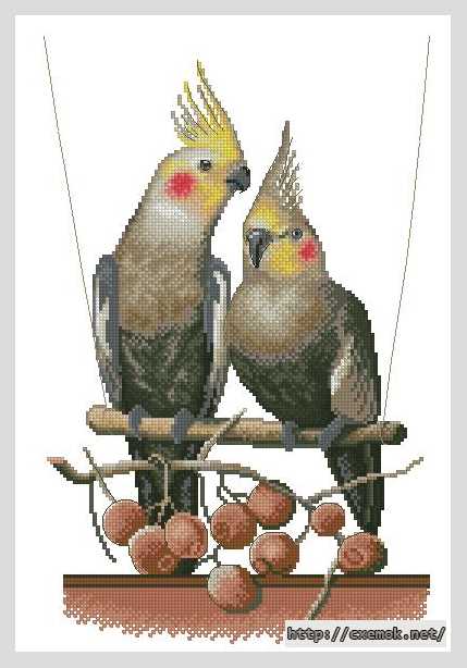 Завантажити схеми вишивки нитками / хрестом  - На качелях (попугаи)