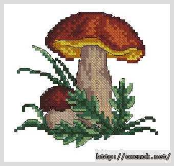 Download embroidery patterns by cross-stitch  - Белый гриб
