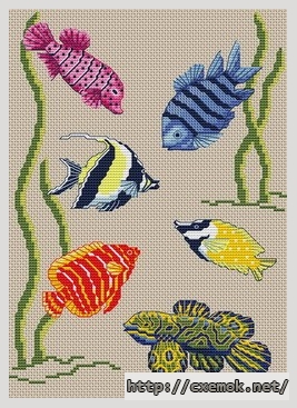 Download embroidery patterns by cross-stitch  - Poissons tropicaux, author 
