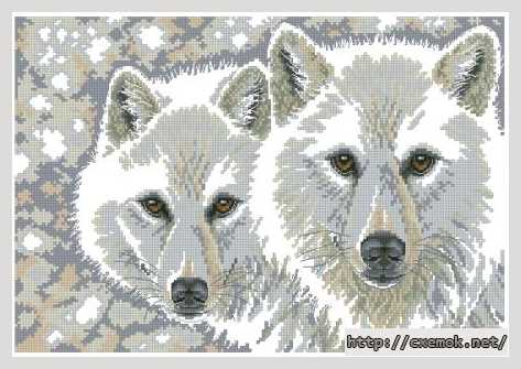 Скачать схемы вышивки нитками / крестом  - Арктическая пара (волки)