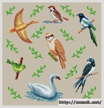 Скачать схемы вышивки нитками / крестом  - Les beaux oiseaux, автор 