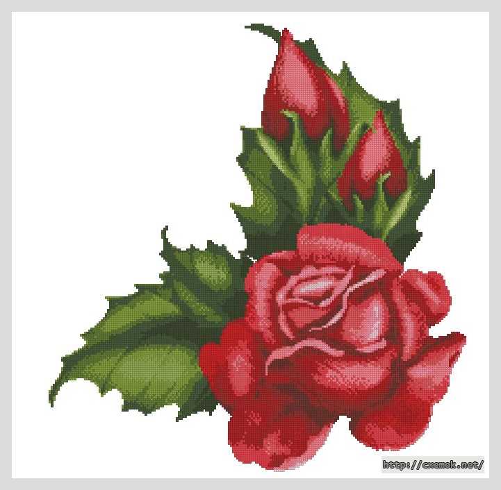 Download embroidery patterns by cross-stitch  - Красивая роза