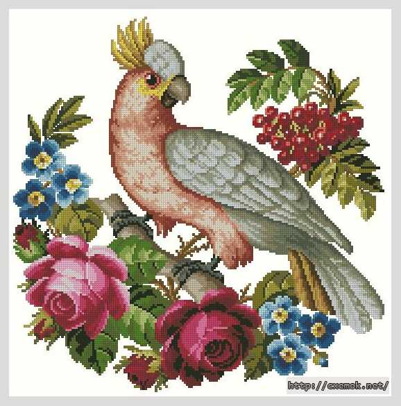 Download embroidery patterns by cross-stitch  - Попугай и розы