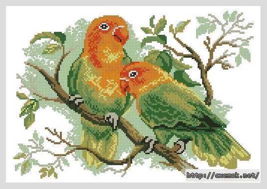 Download embroidery patterns by cross-stitch  - Попугаи