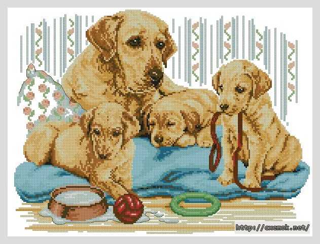 Download embroidery patterns by cross-stitch  - Семья лабрадор