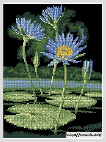 Download embroidery patterns by cross-stitch  - Египетская лилия