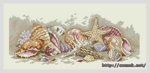 Download embroidery patterns by cross-stitch  - Раковины сокровищ
