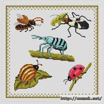 Download embroidery patterns by cross-stitch  - Insectes a six pattes, author 