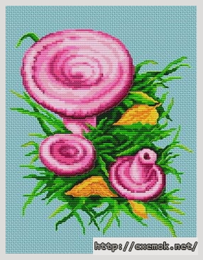 Download embroidery patterns by cross-stitch  - Chanterelles violettes, author 