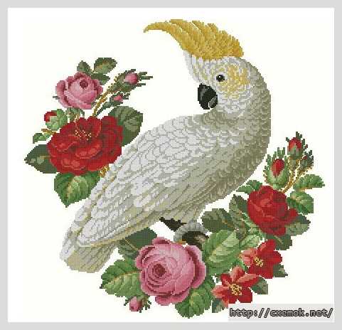 Download embroidery patterns by cross-stitch  - Какаду