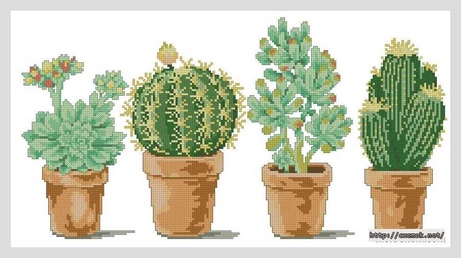 Download embroidery patterns by cross-stitch  - Кактусы