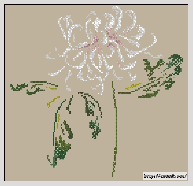 Скачать схему вышивки нитками Chrysanthemum, автор 