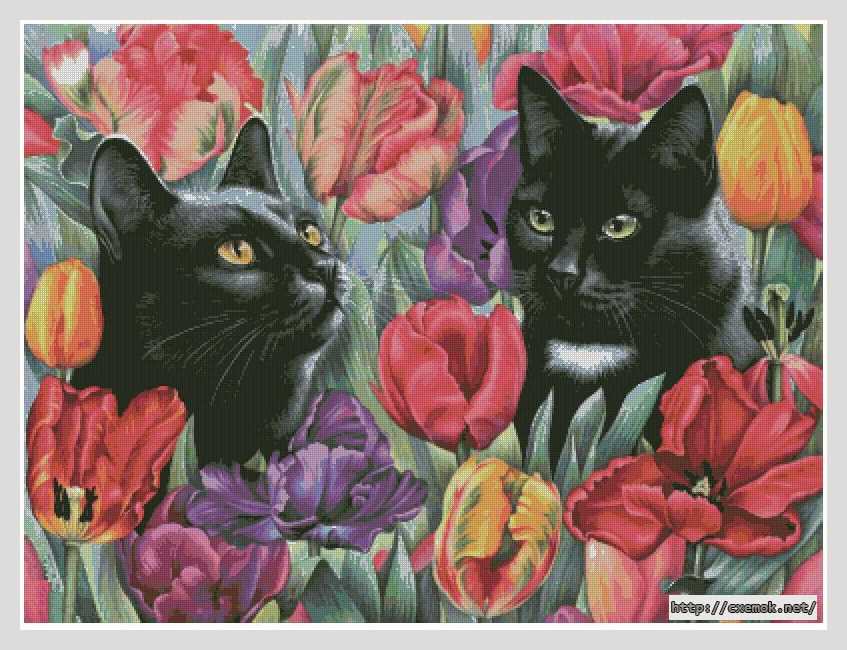 Download embroidery patterns by cross-stitch  - Кошки в тюльпанах