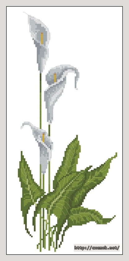 Download embroidery patterns by cross-stitch  - Arum, author 