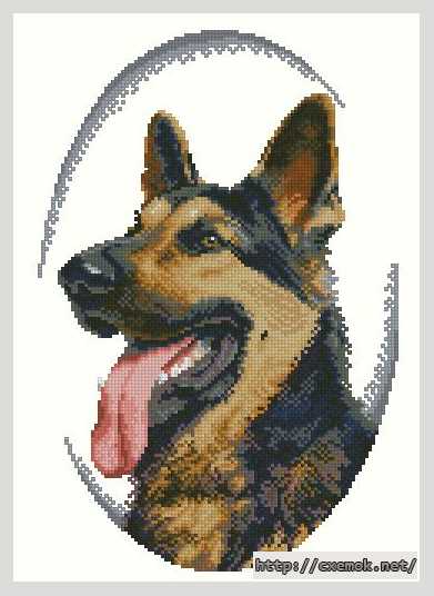 Download embroidery patterns by cross-stitch  - Немецкая овчарка