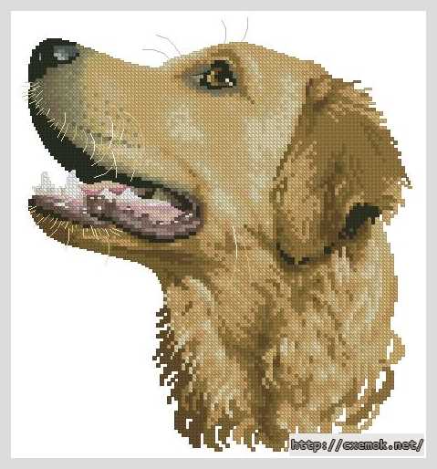 Download embroidery patterns by cross-stitch  - Лабрадор ретривер