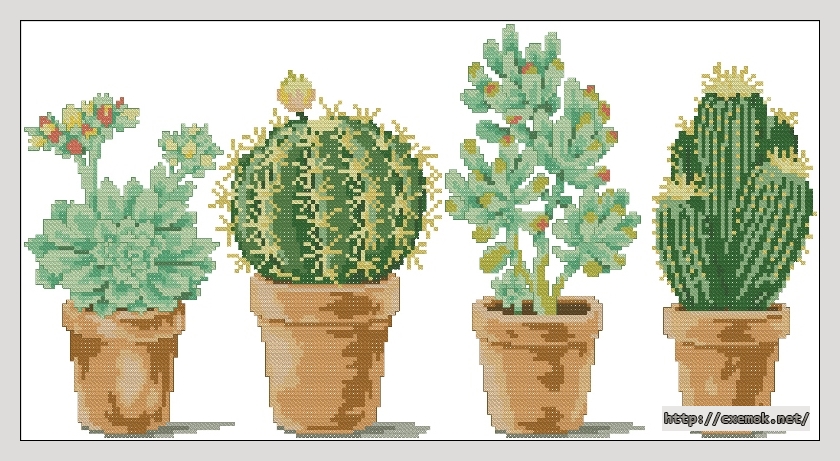 Download embroidery patterns by cross-stitch  - Cactuses, author 