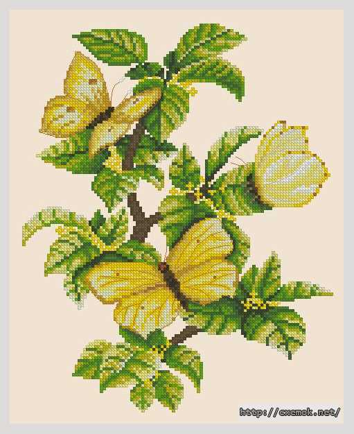 Download embroidery patterns by cross-stitch  - Бабочки на крушине
