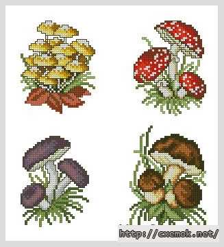 Download embroidery patterns by cross-stitch  - Грибы