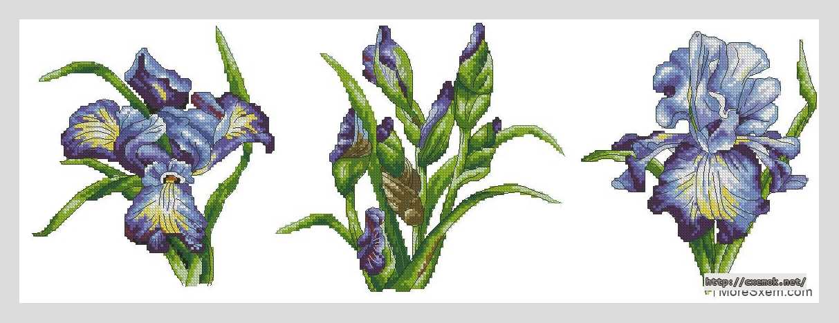 Download embroidery patterns by cross-stitch  - Триптих «ирисы»