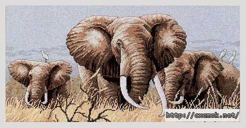 Download embroidery patterns by cross-stitch  - Слоны