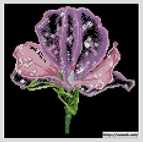 Download embroidery patterns by cross-stitch  - Ирис