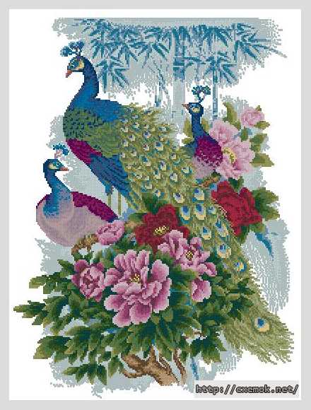 Download embroidery patterns by cross-stitch  - Павлины в цветах