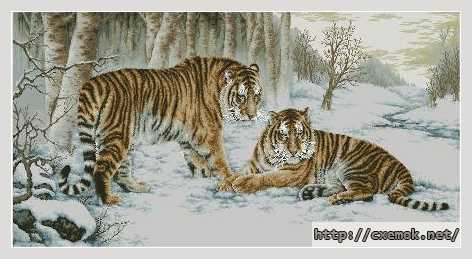 Скачать схему вышивки нитками Бенгальские тигры