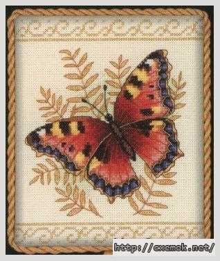 Download embroidery patterns by cross-stitch  - Изящная бабочка