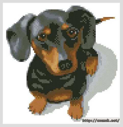 Download embroidery patterns by cross-stitch  - Такса