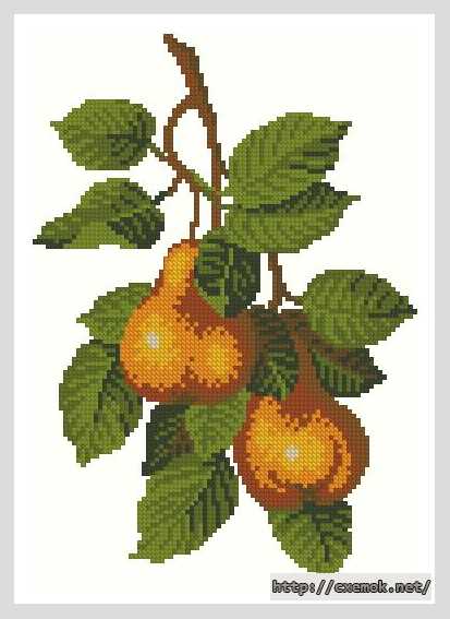 Download embroidery patterns by cross-stitch  - Груша