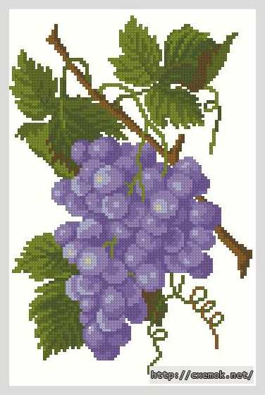Download embroidery patterns by cross-stitch  - Виноград