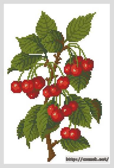 Download embroidery patterns by cross-stitch  - Вишня