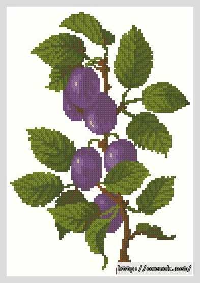 Download embroidery patterns by cross-stitch  - Слива